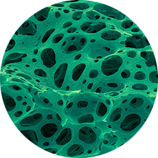 Airlicium ingredient
