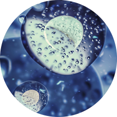 Vitamin B5 ingredient