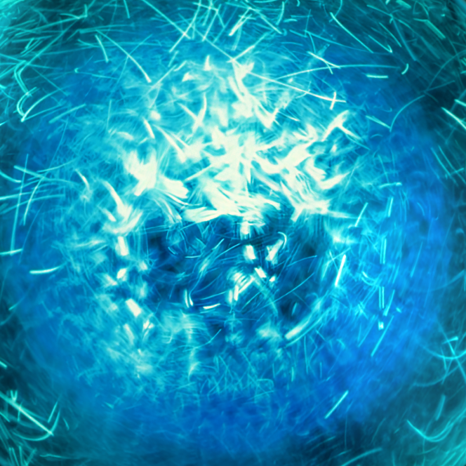 Phylobioma active ingredient