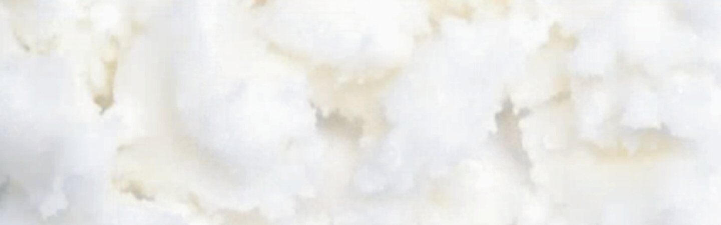 shea-butter-images