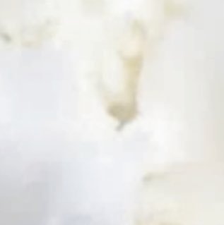 shea-butter-images