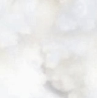 shea-butter-images
